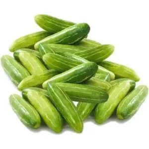 Gentleman Toes (Kovakkai) (350g-400g)