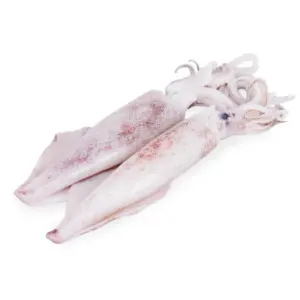 Medium Squid/ Sotong 500g