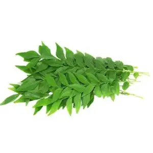 Curry Leaf (80g-100g)