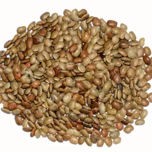 House Brand Horse Gram(kollu) 500g