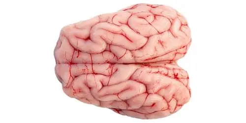 Mutton Brain (2pcs)