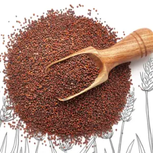 PATTU RAGI (MILLET) 500G