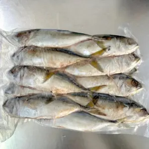 Kembong Fish 1kg